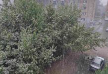 Аномалия: в Пензе 9 мая выпал снег