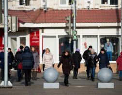 В Пензенской области готовятся к Всероссийской переписи населения