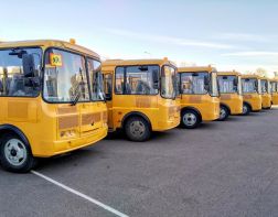 В Пензенскую область поступят 49 школьных автобусов
