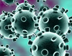 В России выявили первый случай "британского" штамма коронавируса