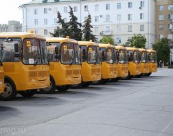 Для школ области купили шестнадцать новых автобусов