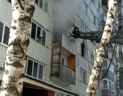 МЧС опубликовало видео спасения людей из пожара на Ладожской