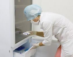 В Пензе ожидаются крупные поставки вакцин "Спутник Лайт" и "Ковивак"