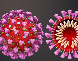 ﻿﻿В ВОЗ назвали основные варианты передачи коронавируса человеку