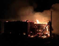 В Пензенской области при тушении пожара обнаружили тело мужчины