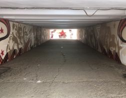 Пензенский художник раскрасил подземный переход