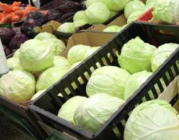В Пензе изъяли около 1,5 тонн овощей
