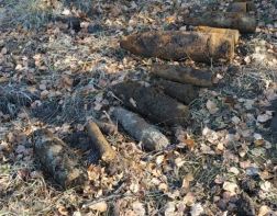 ﻿В лесу под Пензой нашли 12 снарядов времен Великой Отечественной войны