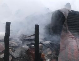  В Пензе выясняют причину смертельного пожара в Шемышейке