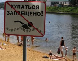 Губернатор Мельниченко об утонувших пензенцах: «У всех в крови был алкоголь»