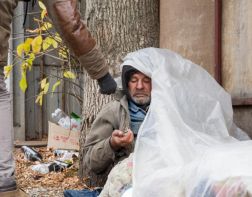 Пензенских бездомных стали кормить каждый день