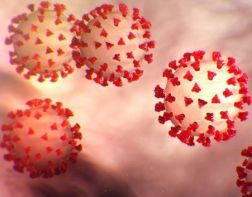 Эксперт: пандемия коронавируса не закончится до Нового года 
