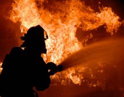 Пензенские пожарные спасли из горящего дома женщину