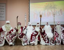 Пензенская гильдия Дедов Морозов планирует создать свой музей