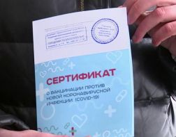 Пензенцев предупредили об ответственности за покупку сертификатов о вакцинации