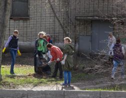 Мельниченко стыдно за уборку мусора в Пензе