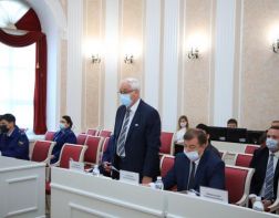 Депутаты согласовали назначение председателя правительства Пензенской области
