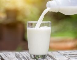 Какие требования предъявляются ТР ТС на молочную продукцию?