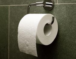 Специалисты Роскачества протестировали туалетную бумагу