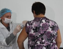 В Пензенской области зарегистрировано 9 случаев свиного гриппа