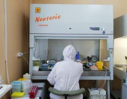 В области зафиксировано 35 новых случаев коронавируса