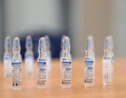 В Пензе прививку от коронавируса можно сделать в «Леруа Мерлен» и ТЦ «Терновский куст»