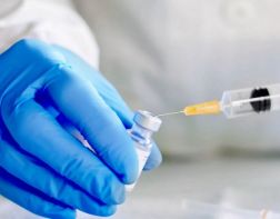 Гинцбург опроверг необходимость в долгом запрете на алкоголь при вакцинации