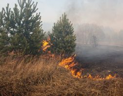 В Пензенской области объявлен пожароопасный сезон
