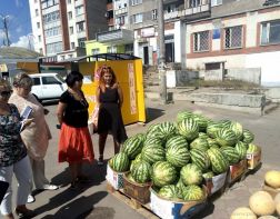 В Пензе оштрафовали торговцев арбузами «с асфальта»