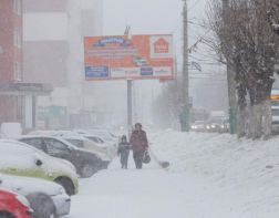 21 марта в Пензе ожидается снегопад