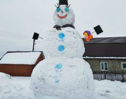 Житель Пензенской области слепил 7-метрового снеговика 