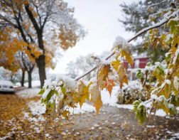 ﻿МЧС предупреждает пензенцев о снеге и похолодании до -9 Cᴼ