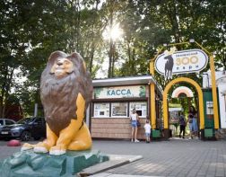 Пензенский зоопарк отмечает 40-летний юбилей