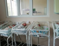 В Пензе в августе родились 7 двойняшек