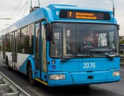 В Пензе обсудили строительство троллейбусной линии в Спутнике