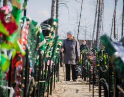 На пензенском кладбище незаконно предоставляли места для захоронений