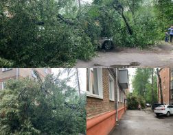 В Пензе ночной ураган повалил деревья