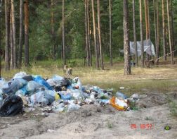 Пензенцев отучат мусорить в лесу