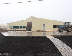 В Пензенской области построят свиноводческий комплекс на 280 тысяч голов