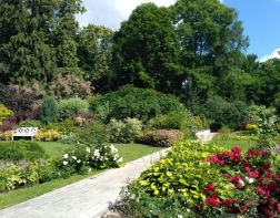 ﻿В Пензе ботанический сад снова открыт для посетителей
