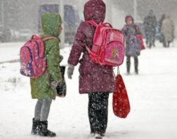 В 11 районах Пензенской области отменили учебу из-за мороза