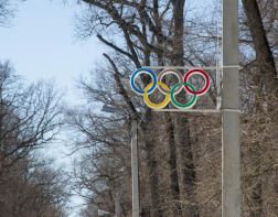 ﻿Пензенцы просят поставить у Олимпийской аллеи шумоподавляющие щиты и убрать скейт-парк
