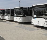 В Пензе новые автобусы не будут перекрашивать в желто-зеленый цвет