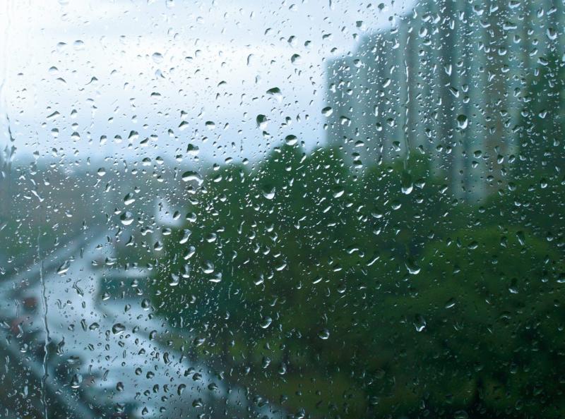 В Пензе 1 и 2 июля выпала почти половина месячной нормы осадков
