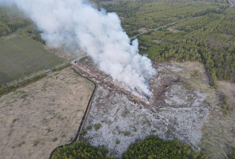 В пензенских лесах до 21 июля прогнозируют 4 класс пожарной опасности