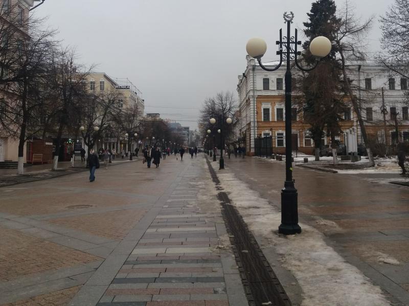 Пензенцы предлагают продлить пешеходную зону улицы Московской