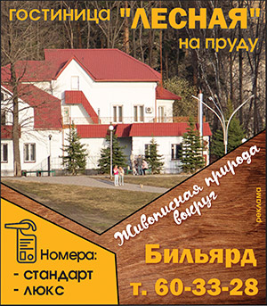 Гостиница "Лесная" на пруду Гостиница "Лесная" на пруду